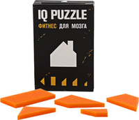 12108.02 - Головоломка IQ Puzzle, домик