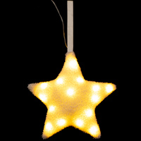 16959.60 - Декоративная подвеска Party Star