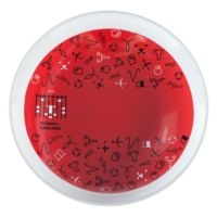 7327.05 - Тарелка наградная «Бизнес-зодиак. Лев»
