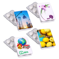 18928.01 - Жевательная резинка в блистере Hubba на заказ