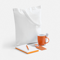 16229.62 - Набор Welcome Pack, оранжевый с белым