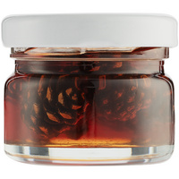 16671.00 - Варенье из сосновых шишек Foresta Mini