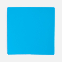 16151.14 - Лейбл Listra Soft Touch, L, голубой