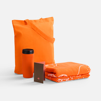 18657.20 - Набор Tangerine Dream, оранжевый