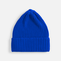 20551.40 - Шапка Yong, синяя