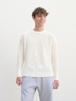 04453101 - Футболка с длинным рукавом Thermal T, бежевая (неокрашенная)