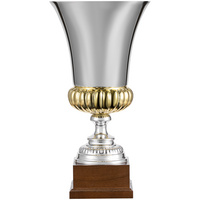 20764.10 - Кубок Erfolg, серебристый