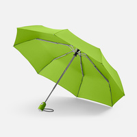 7106.94 - Зонт складной AOC, зеленое яблоко