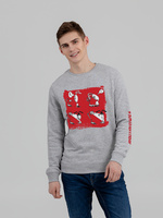 70581.11 - Толстовка «Яжопытный», серый меланж