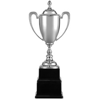 20772.10 - Кубок Grandee, серебристый