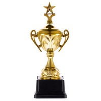 18341.01 - Кубок Top Star, золотистый