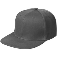 15948.10 - Бейсболка Snapback с прямым козырьком, серая