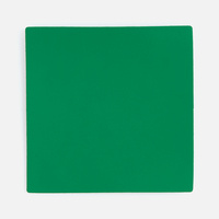 16151.94 - Лейбл Listra Soft Touch, L, зеленый