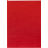 17876.50 - Ежедневник Flat Light, недатированный, красный