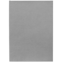 17876.10 - Ежедневник Flat Light, недатированный, серый