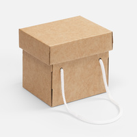 25174.00 - Коробка Kitbag, ver.2, крафт