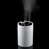 12791.60 - Переносной увлажнитель-ароматизатор humidiFine, белый