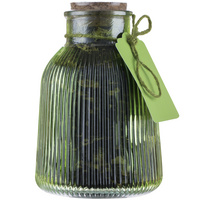 19200.01 - Чай «Сокочай» в зеленой декоративной банке, черный с клюквой и имбирем