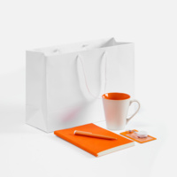 21047.20 - Набор Flat White, оранжевый