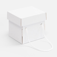 25174.60 - Коробка Kitbag, ver.2, белая