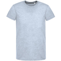 00553258 - Футболка мужская Regent Fit 150, голубой меланж
