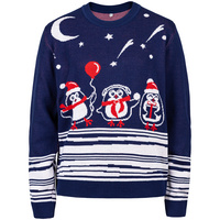 11076.40 - Джемпер Merry Fellow