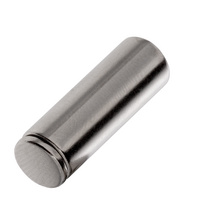 16289.10 - Наконечник для шнурка Nozzle, серебристый (хром)