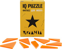 12108.04 - Головоломка IQ Puzzle, звезда