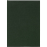 17876.90 - Ежедневник Flat Light, недатированный, зеленый