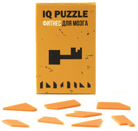 12108.05 - Головоломка IQ Puzzle, ключ