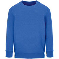 04239241 - Свитшот детский Columbia Kids, ярко-синий (royal)