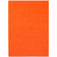 17876.20 - Ежедневник Flat Light, недатированный, оранжевый