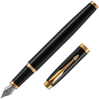 16617.30 - Ручка перьевая Parker IM Black GT