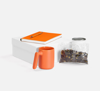23396.20 - Набор Flex Shall Tea, оранжевый