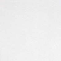 17571.60 - Заготовка из фетра Felt 100, белая
