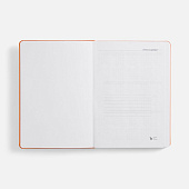 Ежедневник Basis, датированный, оранжевый