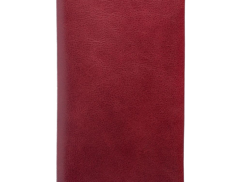 Дорожный органайзер Apache, темно-красный