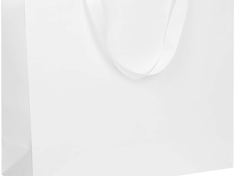 Пакет бумажный Manilla L, белый