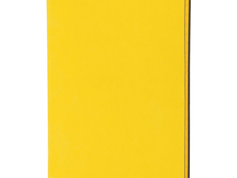 Ежедневник Neat Mini, недатированный, желтый