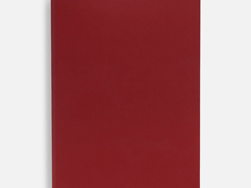 Ежедневник Flex Shall, датированный, красный