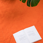 Плед для пикника Soft & Dry 2, оранжевый