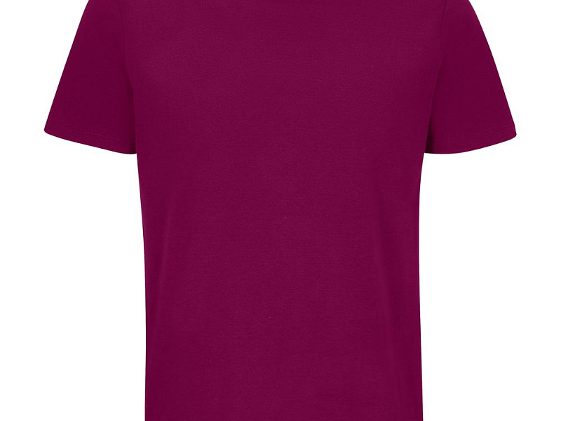 Футболка унисекс Legend, фиолетовая (сливовая)