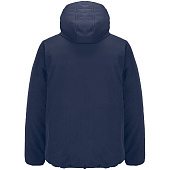 Куртка софтшелл с капюшоном мужская Falcon Men, синяя