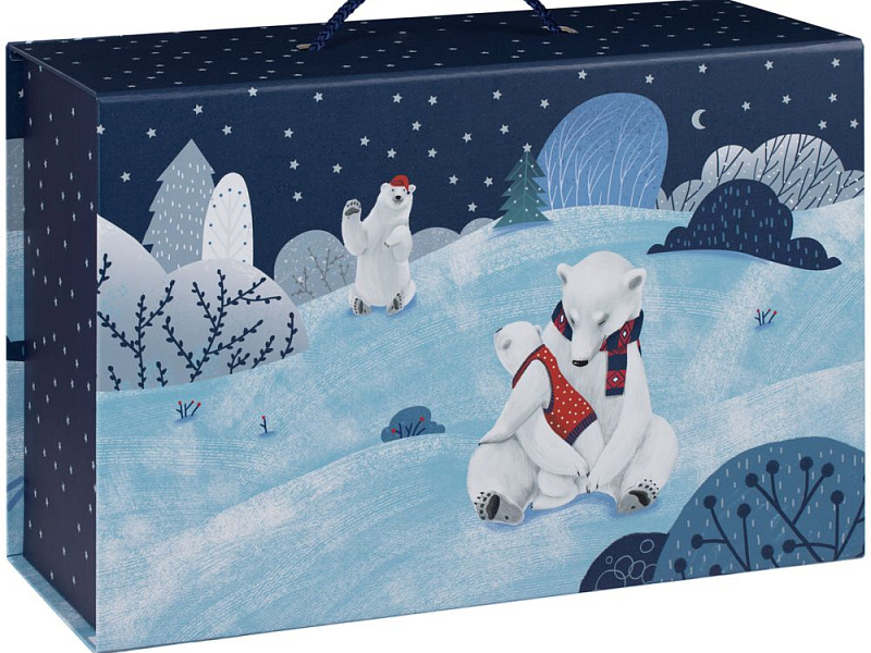 Коробка Polaria