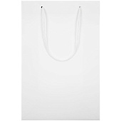 Пакет бумажный Waski M, белый