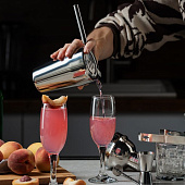 Набор для приготовления коктейлей Troubleshooter, серебристый