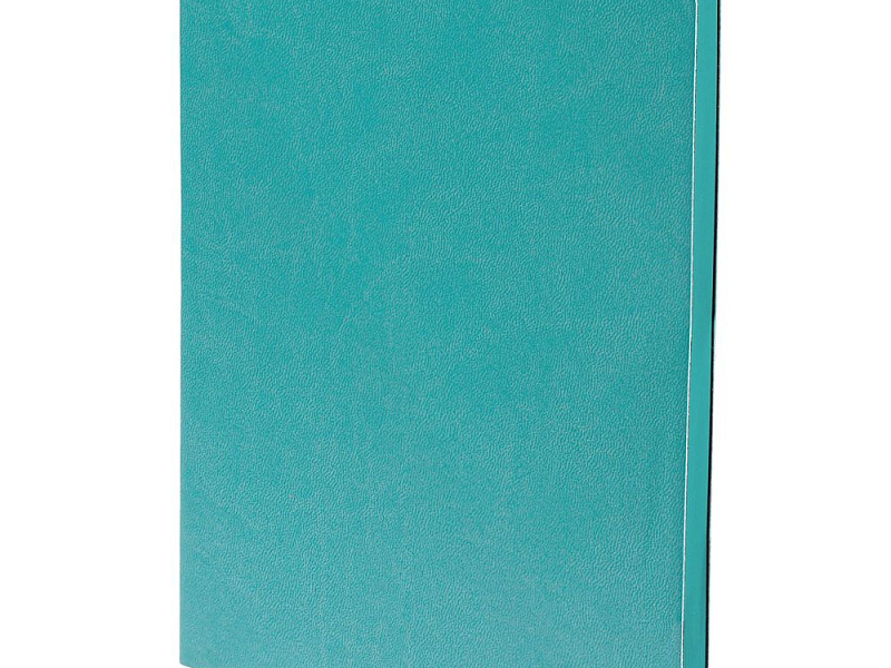 Ежедневник Fredo, недатированный, бирюзовый