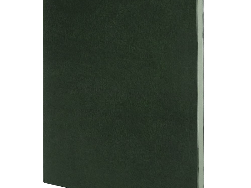 Ежедневник Flat, недатированный, зеленый