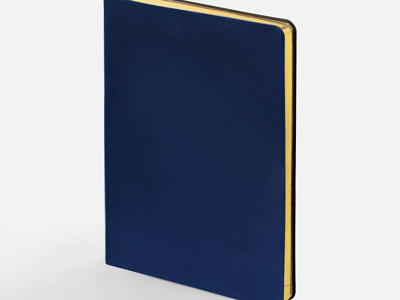 Ежедневник Nebraska Flex, недатированный, синий с золотистым