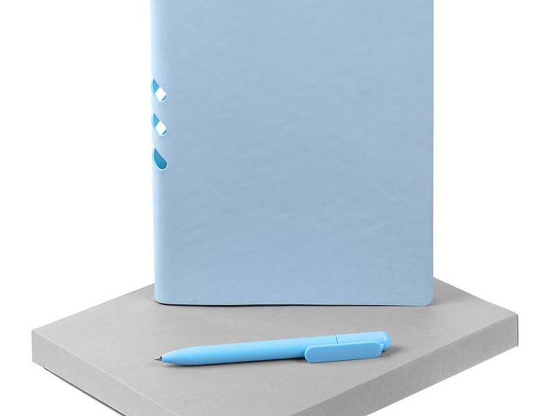 Набор Flexpen Shall, голубой